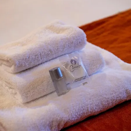 Pantheon Deluxe Appartement *